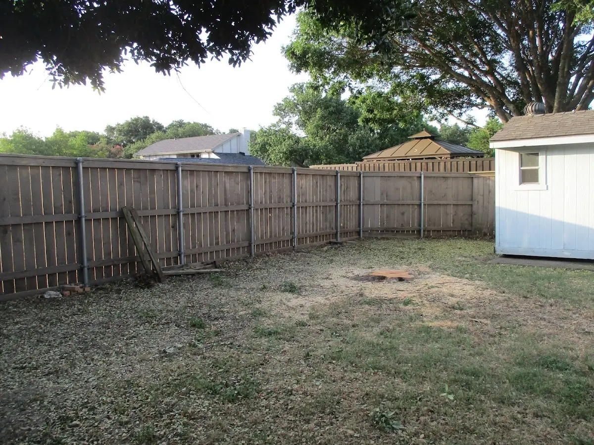 Cleared yard after professional tree removal in Altona